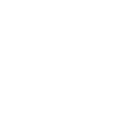 designforte-logo.png